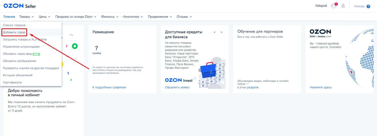 Накрутка озона на товары. Добавление товара на Озон. Какпродачать на OZON. Как продавать на Озон. Что продавать на OZON.