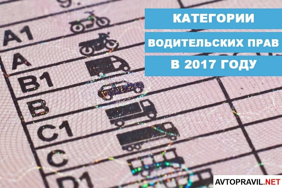 Про категорию б. Категории водительских прав. Rfntujhbb водительсуого уд. Категории водительских пра. Категории в правах.