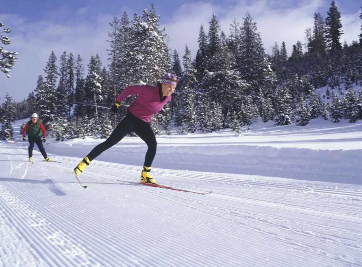 Cross country ski. Беговые лыжи. Катание на беговых лыжах. Покататься на беговых лыжах. Девушка на беговых лыжах.