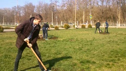 Новая школа зерноград