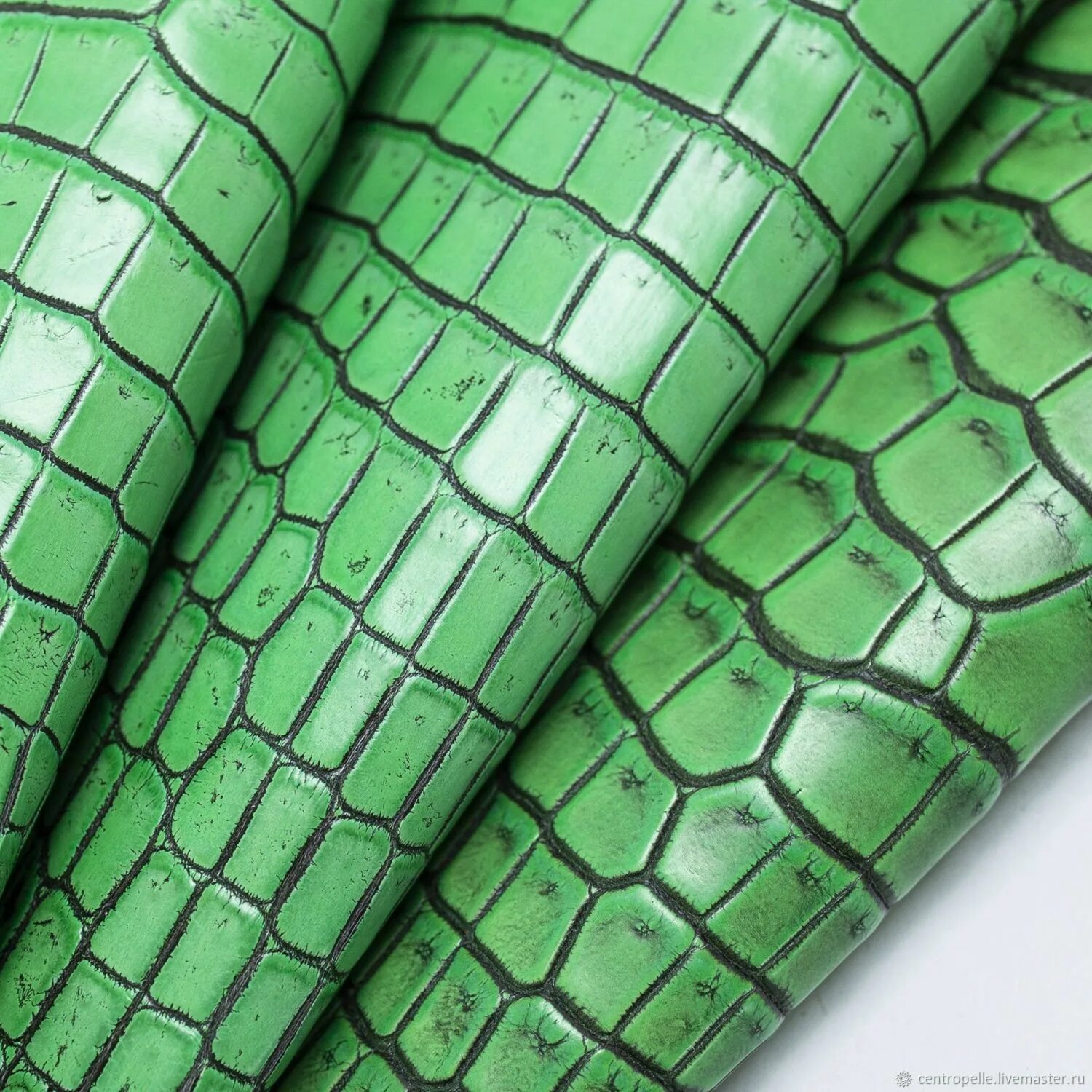 Какой крокодил зеленый. «Кожа крокодила». Кожа крокодила натуральная. Зеленая крокодилья кожа. Имитация кожи крокодила.