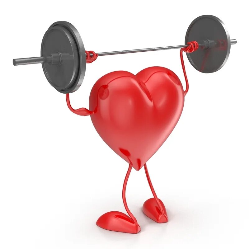 Спортивное сердце. Sport in heart. Сердце и гантели. Тренированное сердце. Спорт и сердечно-сосудистая система.
