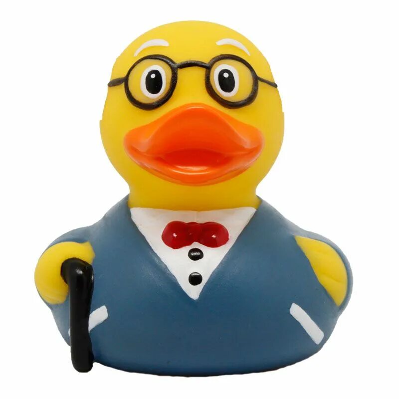 Funny ducks