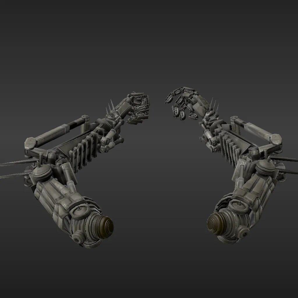 Arm rig