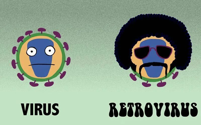 Ретровирусы строение вириона. Вирус ретровирус. Спид возбудитель ретровирус. Ретровирус микробиология строение. Вирус ретровирус.