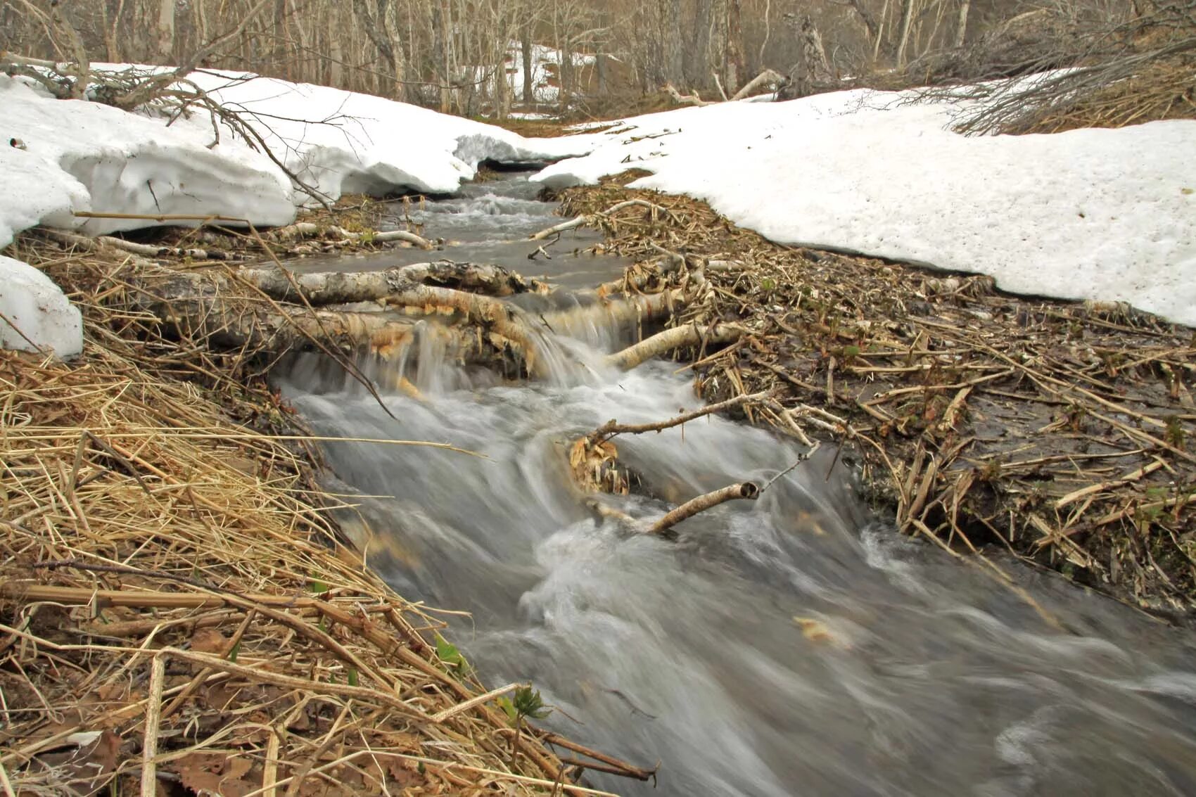 поток весной