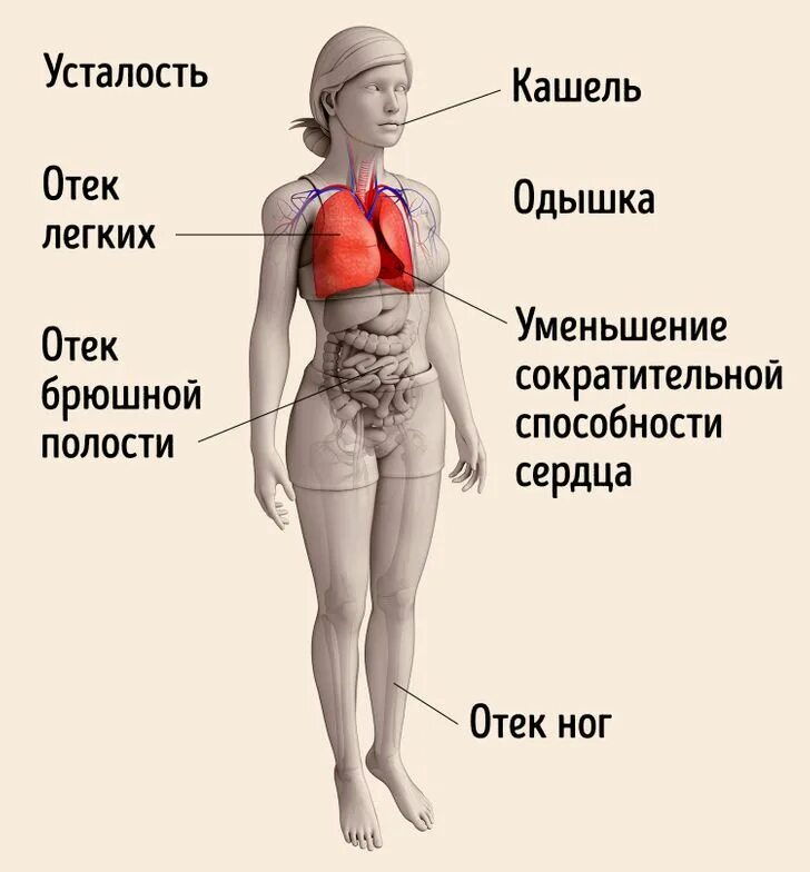 Отечность тела причины