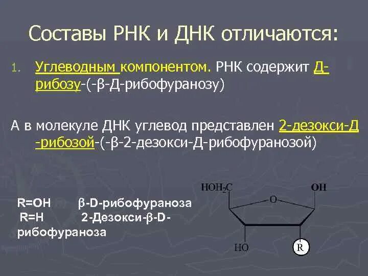 Углеводы днк и рнк. Углевод РНК. В РНК углеводный компонент состоит. Углеводный компонент молекулы ДНК. В ДНК углеводный компонент состоит.