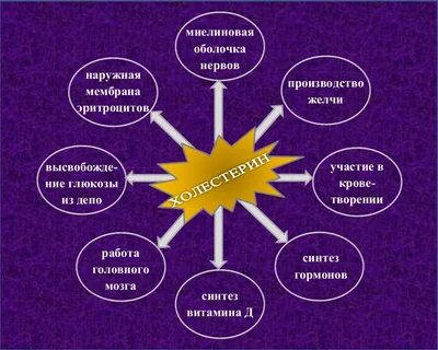 Роль холестерина в организме