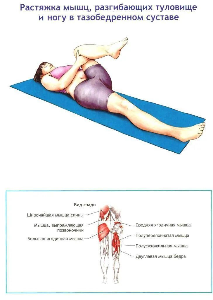 Потянул поясницу что делать. Растяжка мышц тазобедренного сустава. Растяжка приводящих мышц. Растяжка мышц стопы упражнения.
