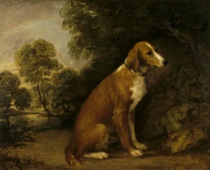 Jean baptiste oudry художник. Исторические портреты собак. Собаки в искусстве интересные факты. Собаки в искусстве. Собака 18 век.