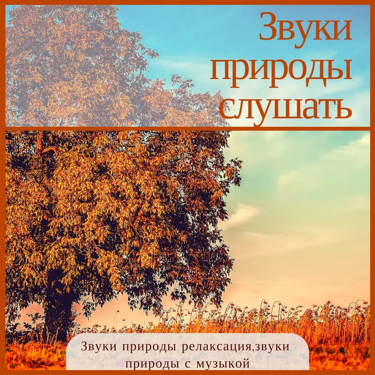 Осенние звуки природы. Звуки природы. Звуки природы альбом. Звуки природы для релаксации. Звуки природы обложка.