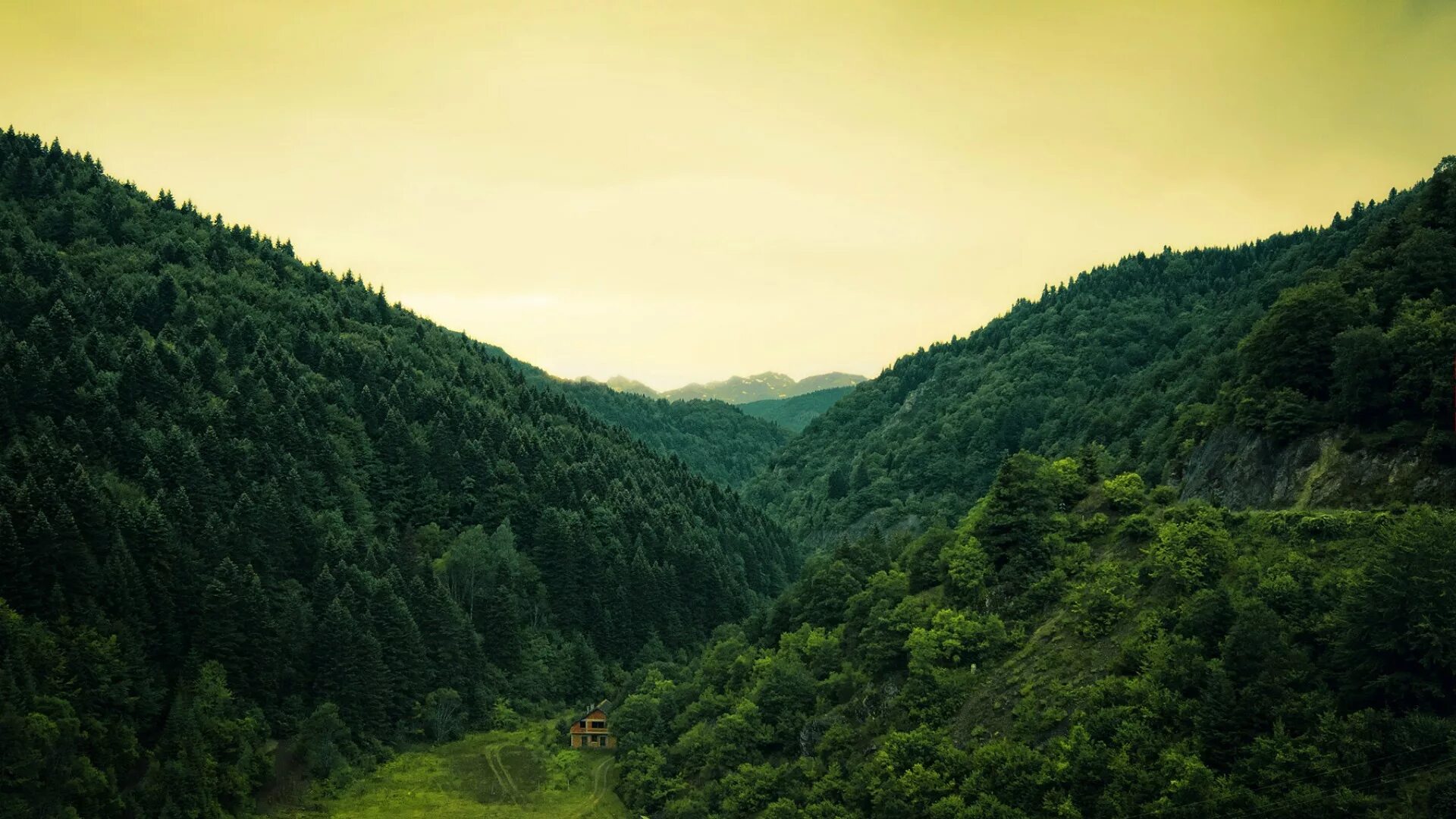 Ущелье Грин Хилл. Горная тропа Италия. Лесистые холмы Швейцария. Лесистые горы. Долина заросшая лесом