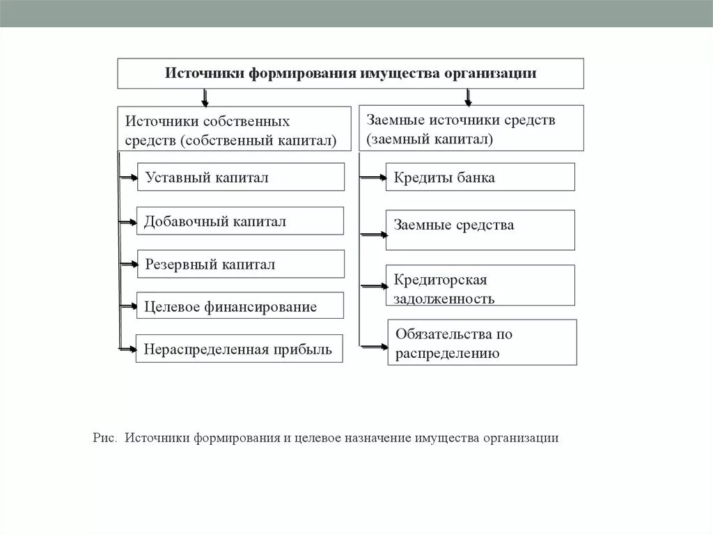 Учреждение образование имущества. Источники формирования имущества организации схема. Состав источников формирования имущества организации. Источники формирования имущества предприятия схема. Состав источников формирования имущества организации схема.