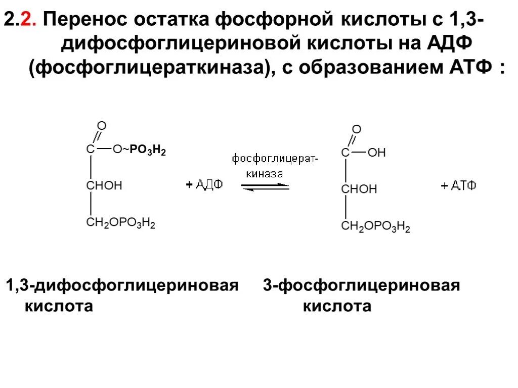 Остаток фосфорной кислоты атф. Реакция образования 3 фосфоглицерата. Фосфоглицериновая кислота формула. Схема образования 2,3-дифосфоглицериновой кислоты. Образование 1 3 дифосфоглицериновой кислоты.