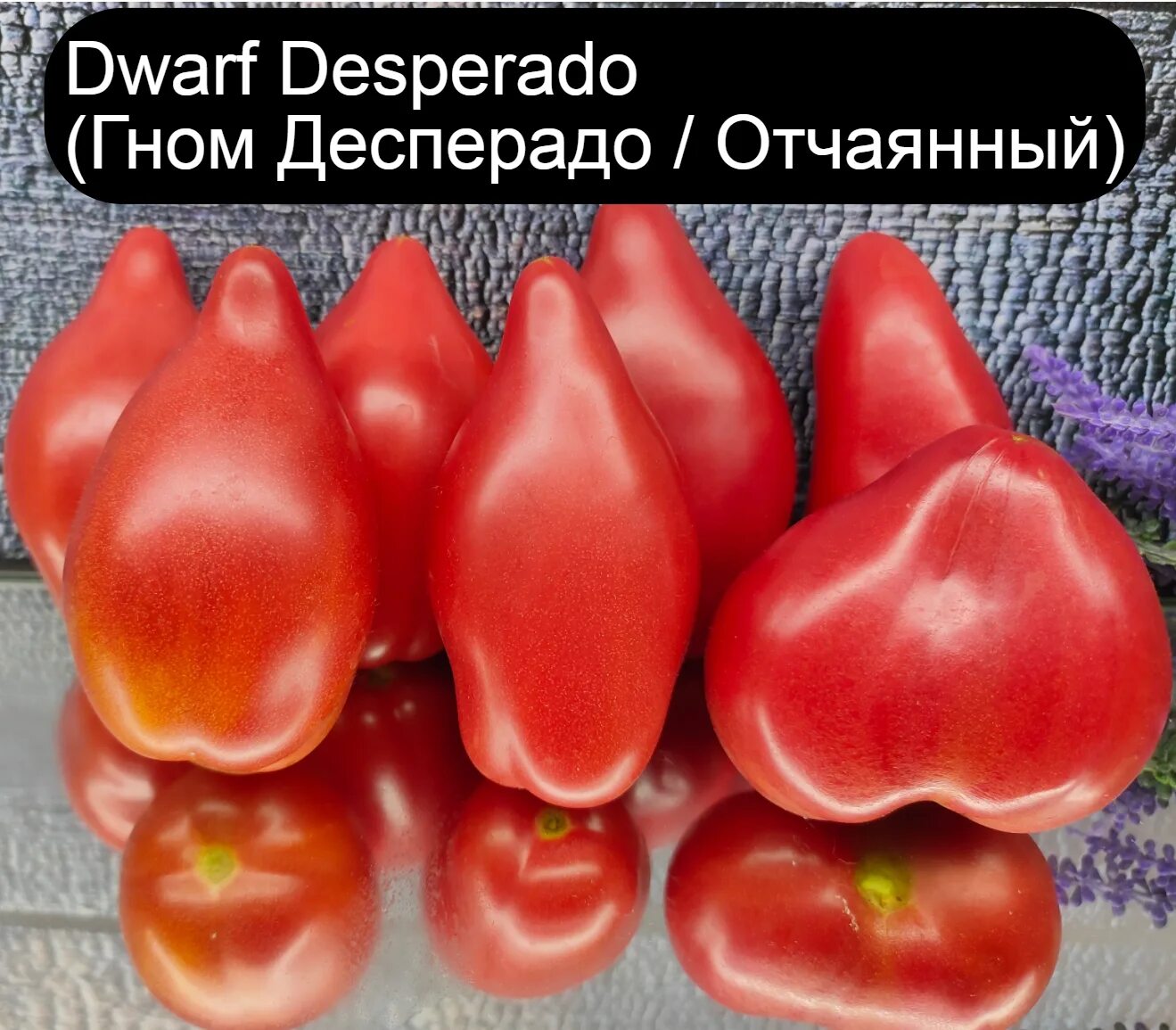Томаты гномы фото. Томат Гном Десперадо. Десперадо сорт томата. Томат Десперадо отчаянный. Томат Dwarf Desperado Дварф Десперадо.