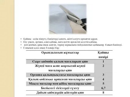 Видео эротика байқауына әйелдер жыныс мүшесін ұстауға келді