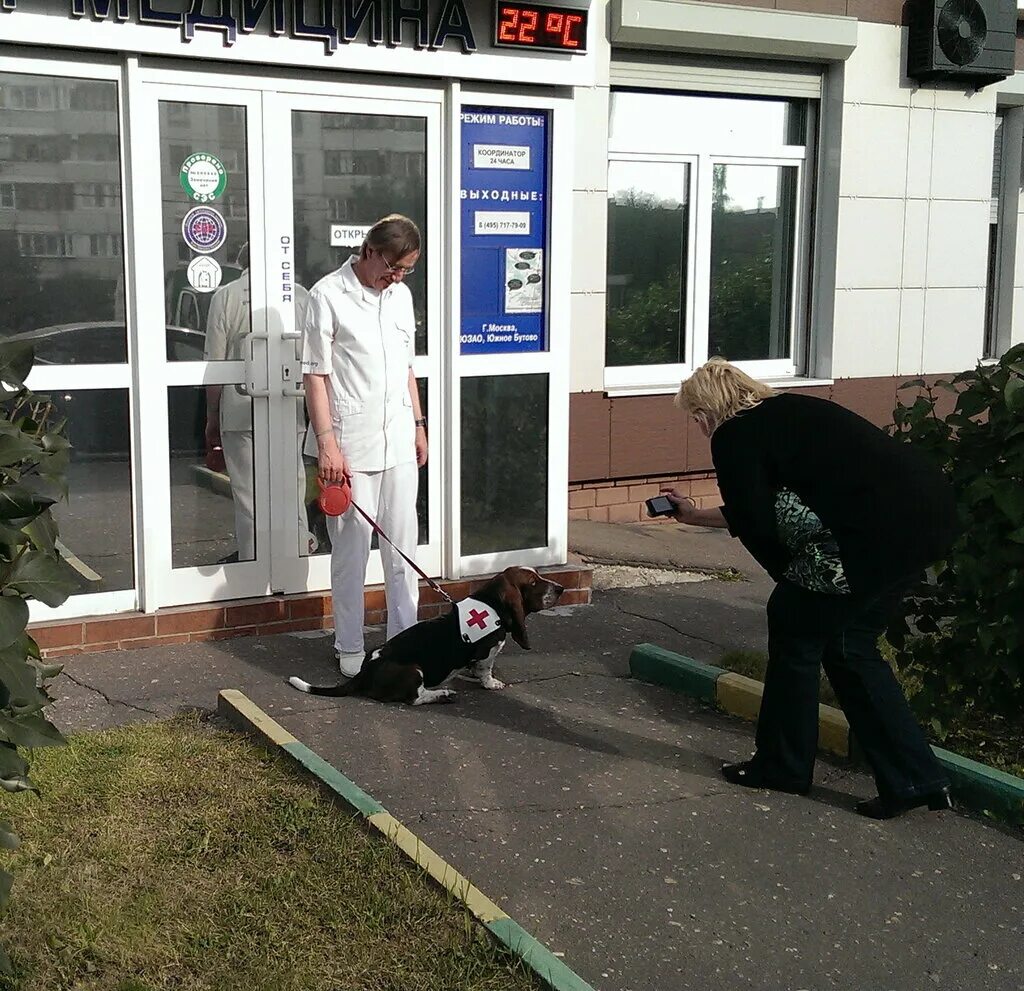 клиника практической медицины на динамо. практическая медицина изюмская 50. медицинский центр ул изюмская 50. изюмская медицинский центр практическая медицина. южное бутово медицинский центр изюмская.