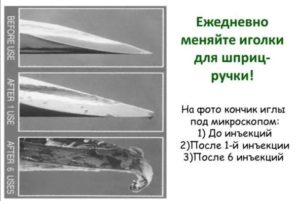 Ананас под микроскопом иглы Хохлатый дикобраз: Единственный грызун, который способен мгновенно