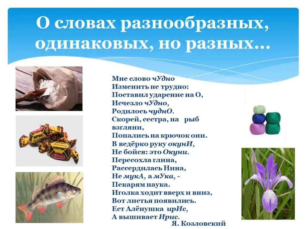 Ударение в слове одинаково. Одинаковые слова но разные ударения. Слова одинаковые по написанию но разные по ударению. Одинаковые слова с разным ударением. Слова одинаково пишутся но Разное ударение.