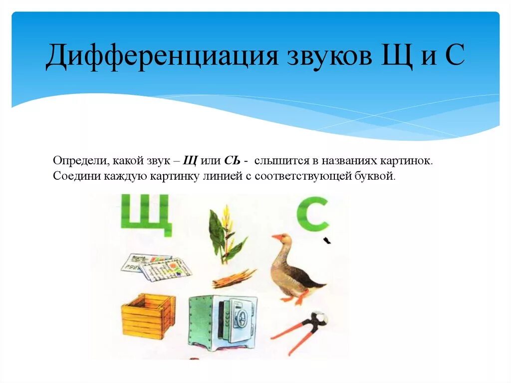 Дифференциация с щ в словах. Задания на дифференциацию звуков щ-сь. Звуки щ-сь. Дифференциация щ-сь задания для дошкольников.