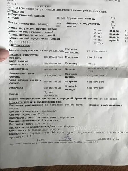 Беременность 39 недель по УЗИ 37. УЗИ описание 37 недель. Узи на 39 неделе