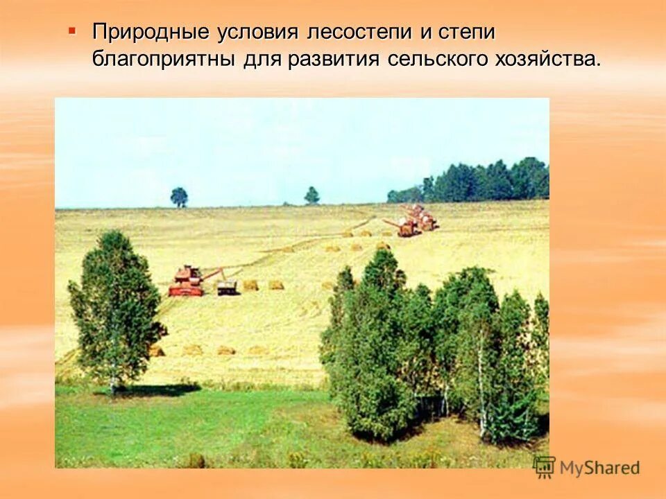 хозяйственная деятельность лесостепи и степи в россии. отрасли специализации сельского хозяйства. природные условия лесостепи и степи. зональная специализация сельского хозяйства. специализация растениеводства.