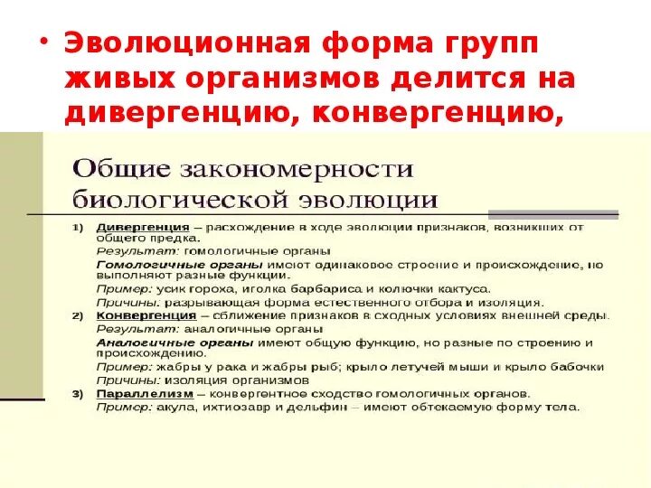 Основные закономерности урока. Закономерности эволюции 9 класс биология. Основные эволюционные закономерности. Общие закономерности эволюции. Основные закономерности биологической эволюции.