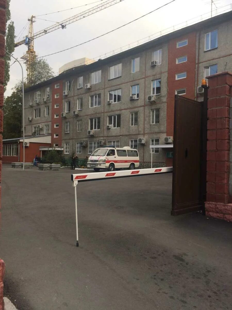 Репродукция человека алматы. Репродукция человека алматы