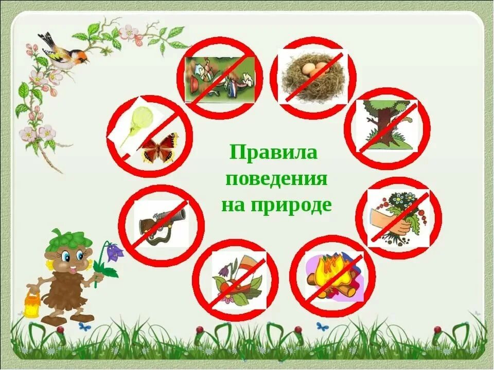 Почему нельзя в саду