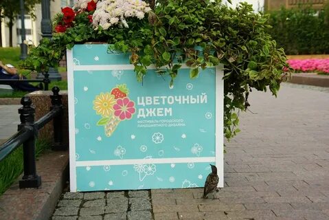 Джем цветов