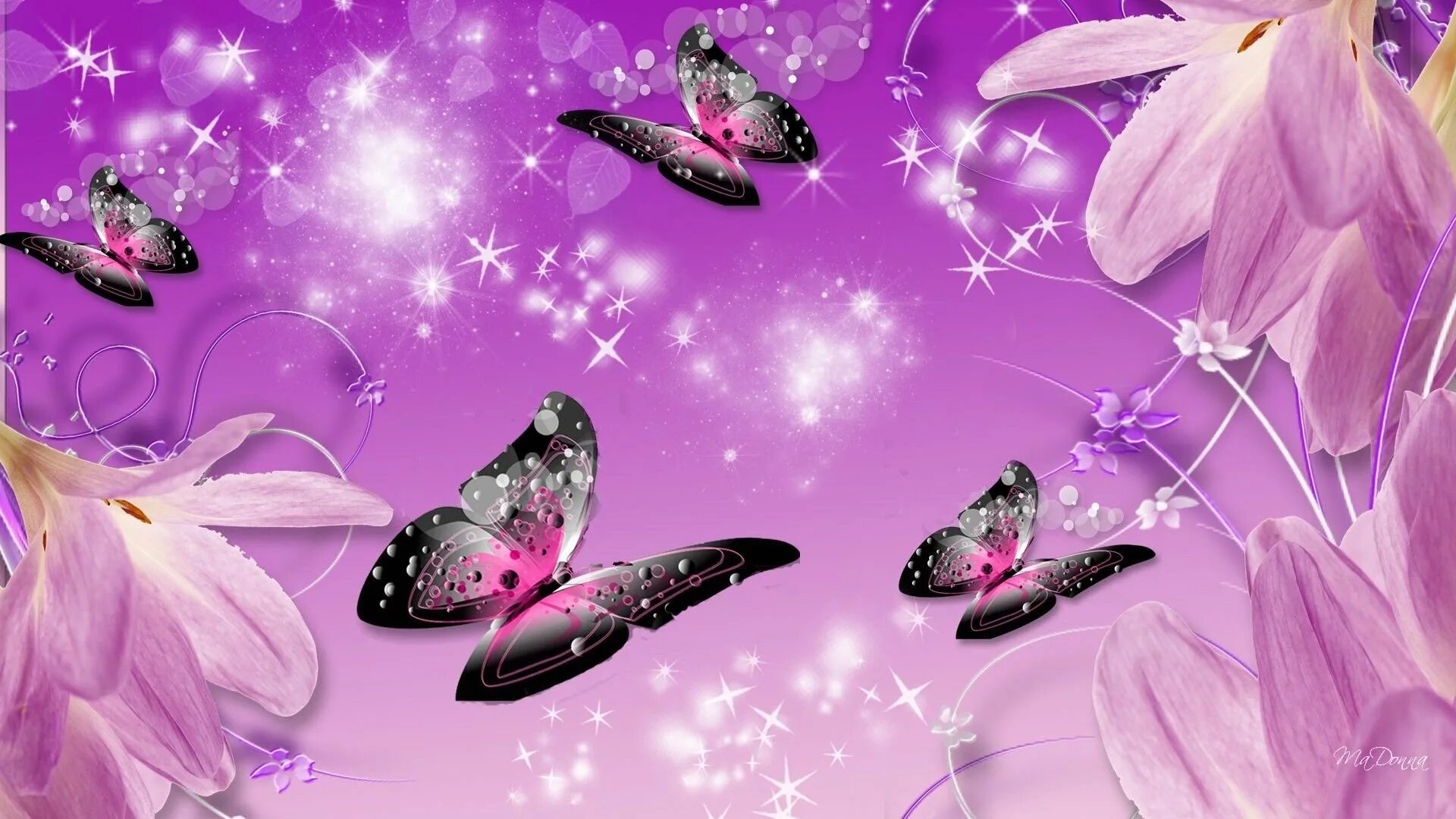Фон бабочки. Бабочки картинки красивые. Красивый фон на телефон. Обои с бабочками. Красивая заставка бабочки