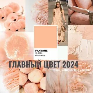Оттенок 13 1023
