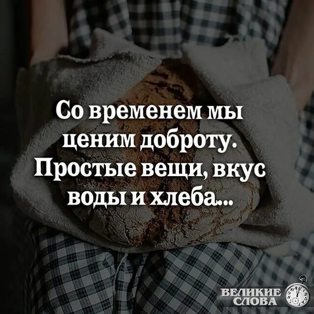 Красота в мелочах цитаты. Счастье в мелочах цитаты. Люди не замечают очевидного цитаты. Простые вещи цитаты. Простые вещи цитаты.