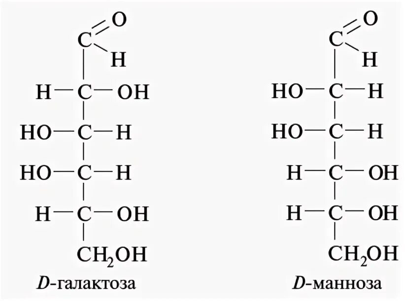 Галактоза что это. Строение д галактозы. Галактоза циклическая формула. Галактоза Хеуорса. D-галактозы линейная формула.