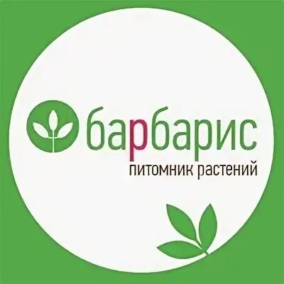 Летнее настроение пермь. Лето утро цветы. Летнее настроение пермь. Летнее настроение. Летнее настроение пермь.