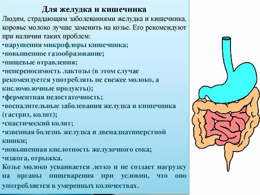 Как очистить кишечник от газов. ЖКТ человека. Заболевания желудка и кишечника.