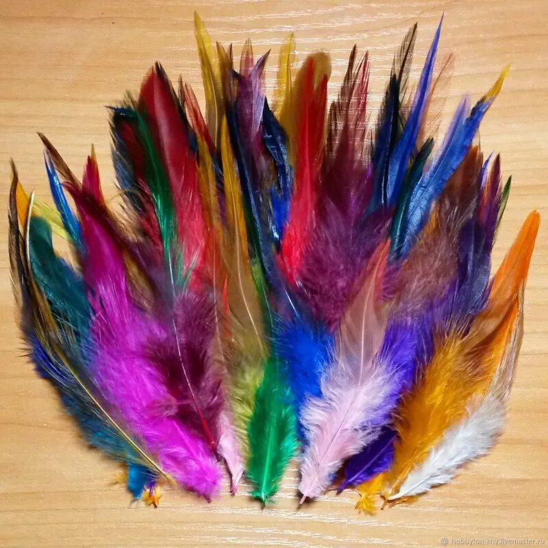 Необычные перья птиц. Петушиное перо. Перо для декора. Необычные перья. Птица декоративная с перьями.