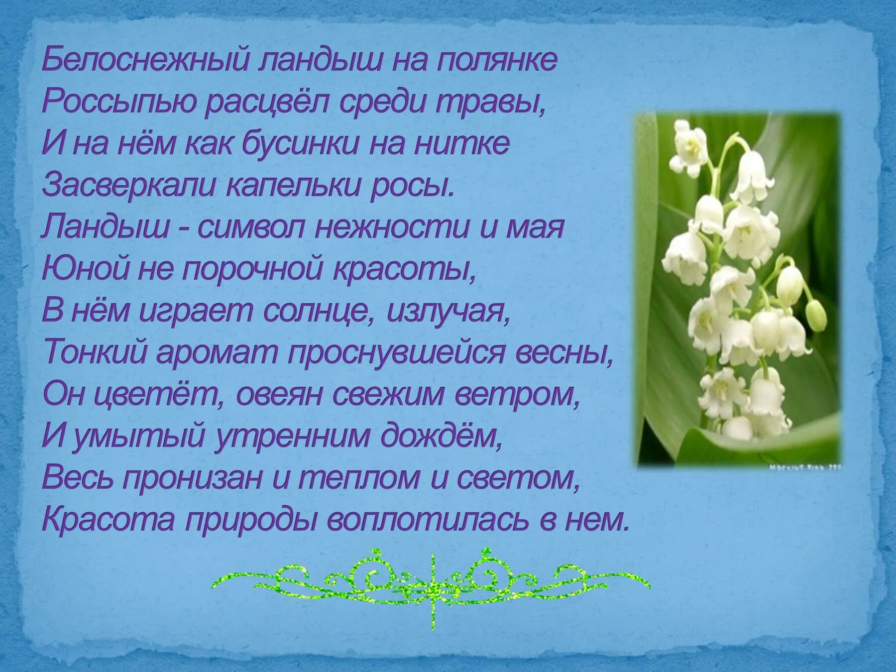 Песня со словами я подарю вам ландыши. Интересная Легенда о ландыше. Интересные факты о ландыше.