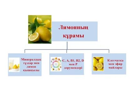 Трансни киски порно