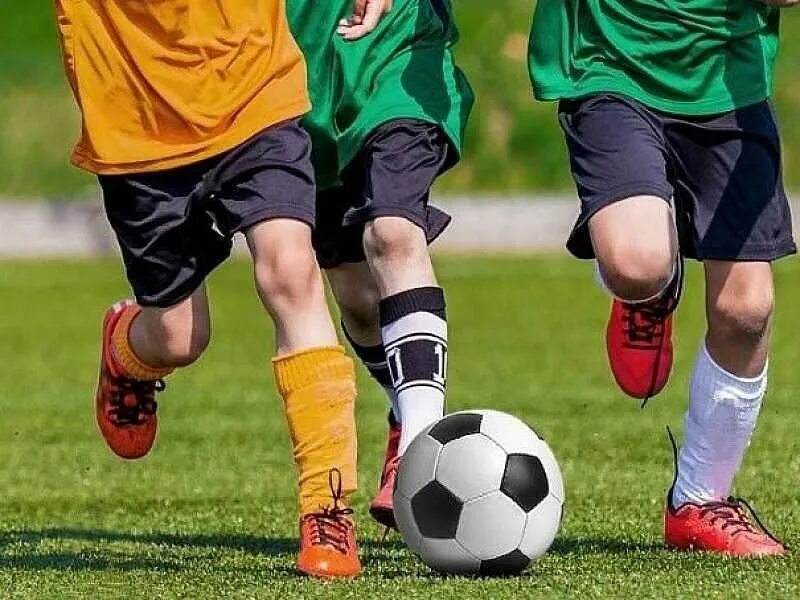 Футбольные чемпионы дети. Футбольная школа чертаново воронеж. Федерация хоккея кемеровской области. Футбольная команда. 2013 2014 г р.