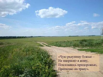 Песня не напрасно я