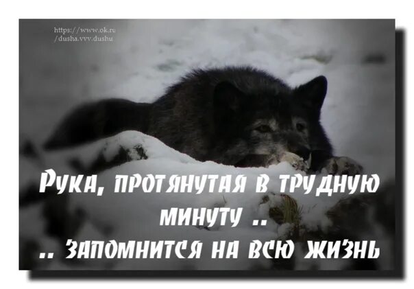 Который запомнится на всю жизнь. Рука протянутая в трудную минуту запомнится на всю жизнь. рука протянутая в трудную минуту картинки. рука протянутая в трудную минуту запомнится на всю жизнь цитаты. рука протянутая в трудную минуту запомнится на всю жизнь картинки.