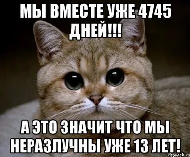 13 вместе