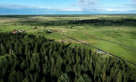 Заостровье ленинградская область ломоносовский