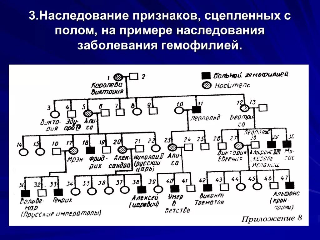 Гемофилия это признак сцепленный с