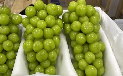 Жас аналар мен ұлдардың қатысуымен орыс секс фильмдерін қараңыз