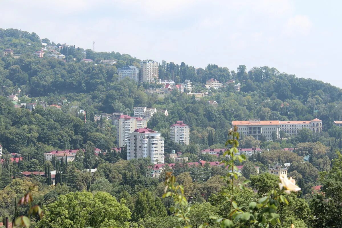 санаторий сочинский сочи. хоста сочи. хоста город сочи. хостинский районный. хоста город курорт.
