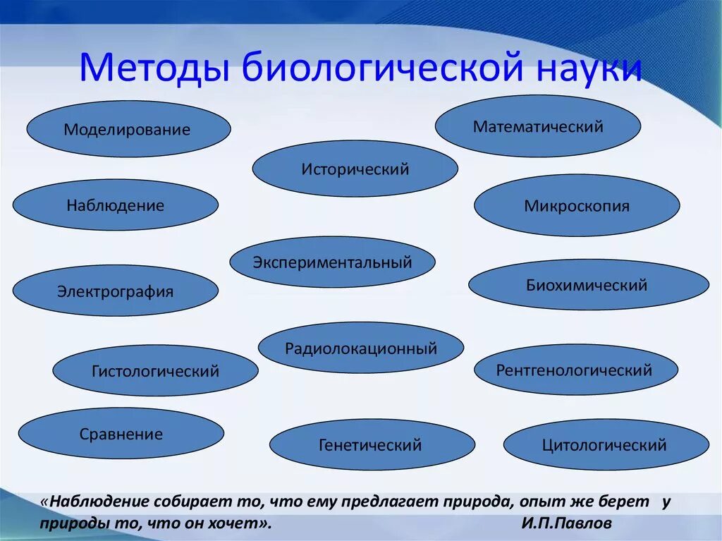 Методы биологических исследований схема. Методы биологии. Методы биологическихиследований. Методы науки биологии.