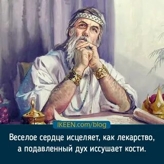 Жизнь соломона